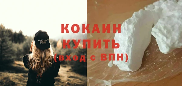 молекула духа Нягань
