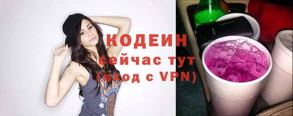 Альфа ПВП Няндома