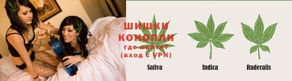 ГАЛЛЮЦИНОГЕННЫЕ ГРИБЫ Арсеньев