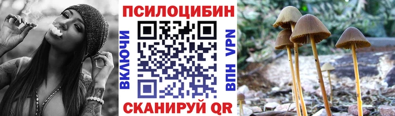 Галлюциногенные грибы мухоморы Приморск